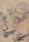 Peter Paul Rubens Head and hand-s pencil sketch oil painting reproduction